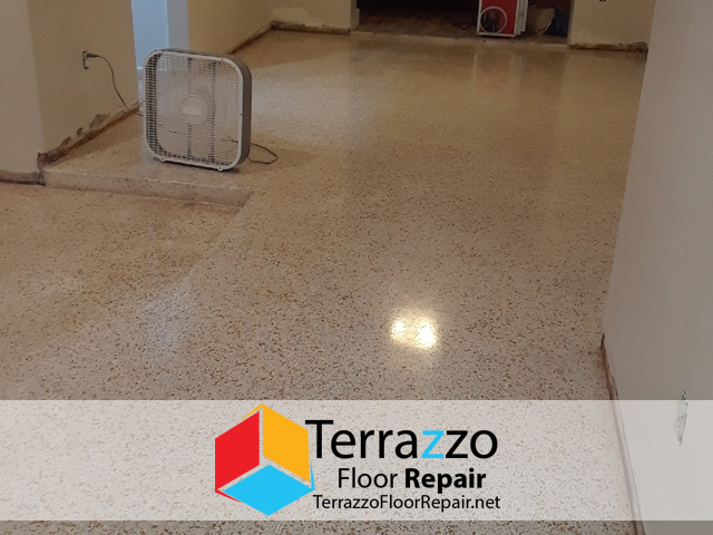 Polishing Terrazzo Floors Palm Beach