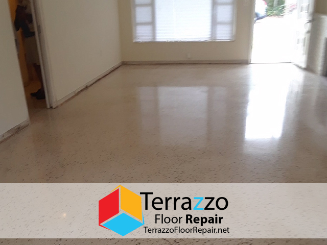 Terrazzo Care Polishing Service Miami