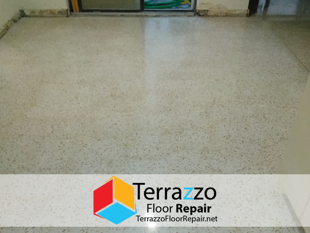 Terrazzo Clean Stain Removal Miami