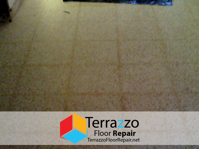 Terrazzo Tile Cleaners Palm Beach