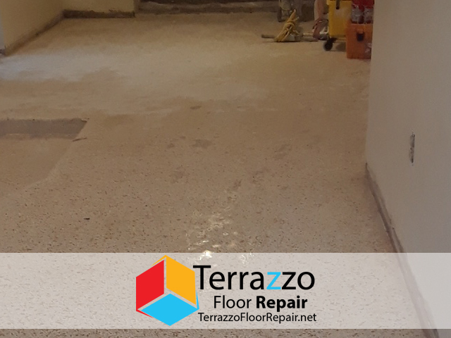 Terrazzo Tile Polishers Palm Beach