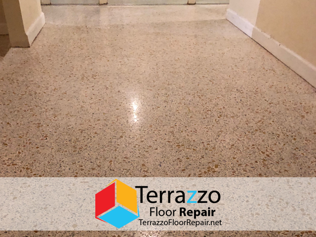 Terrazzo Floor Cleaning Service Palm Beach