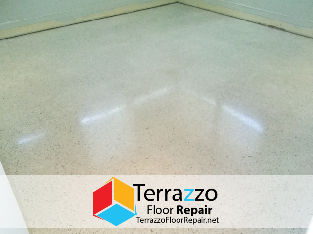 Terrazzo Floor Installation Service Palm Beach