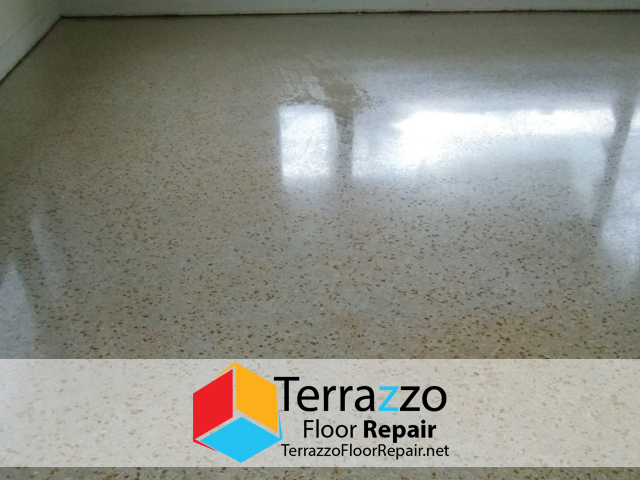 Terrazzo Floor Polishing Service Company Palm Beach